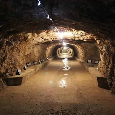 Amfora Deluxe Apartman *