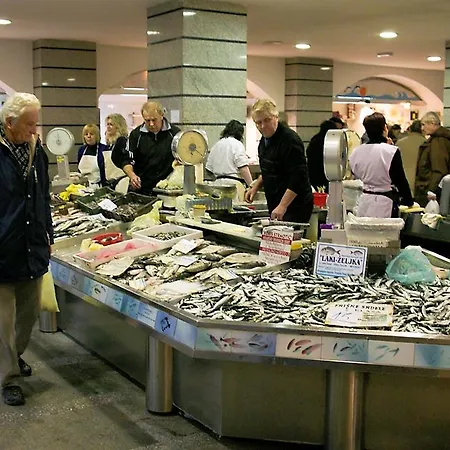 Amfora Deluxe 풀라