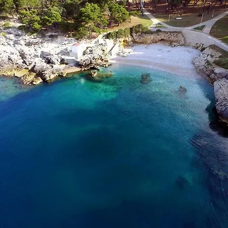 Amfora Deluxe * 풀라