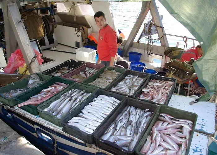 Amfora Deluxe Apartamento Pula